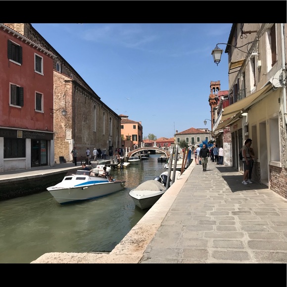 Meet your Posher, Hazel - Picture 1 of 1